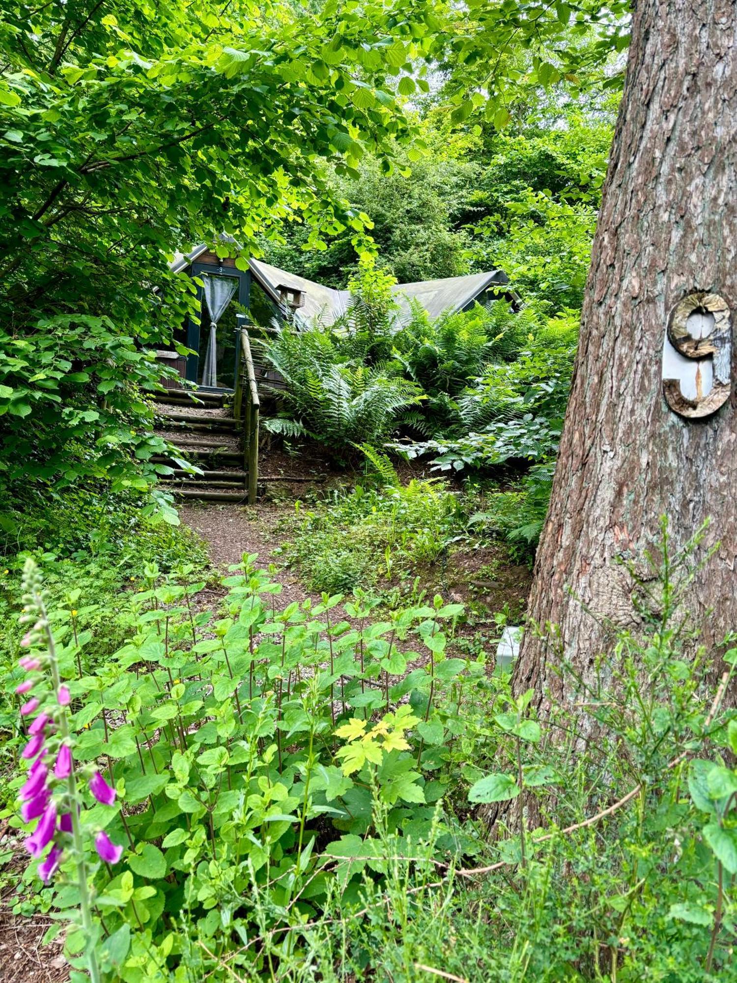 Chalet Scandinave Avec Sauna Ir - In The Woods Gesves Exterior photo
